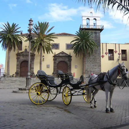 Mit Sonnenterrasse Und Panorama - Meerblick, 5 Min. Von Hafen + Lejlighed Acantilado de los Gigantes