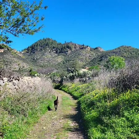 Apartamento Mit Sonnenterrasse Und Panorama - Meerblick, 5 Min. Von Hafen +