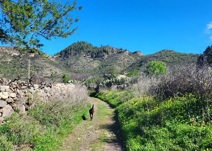 Appartement Mit Sonnenterrasse Und Panorama - Meerblick, 5 Min. Von Hafen +