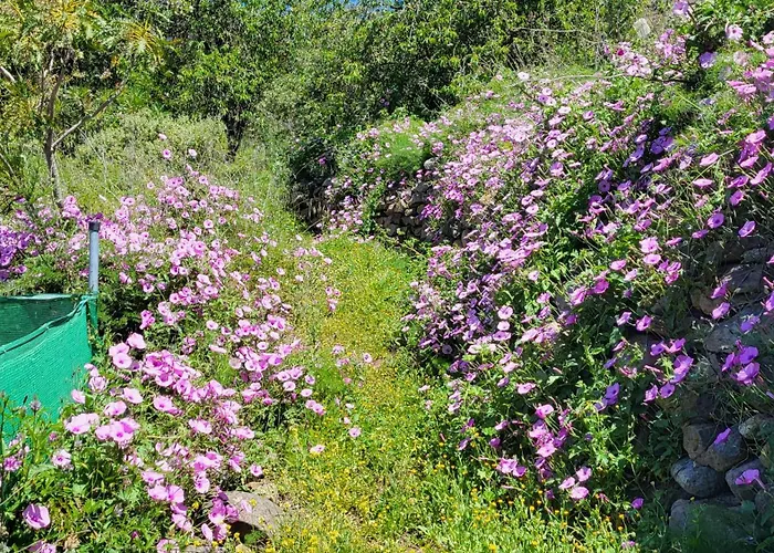 Appartement Mit Sonnenterrasse Und Panorama - Meerblick, 5 Min. Von Hafen + Acantilado de los Gigantes