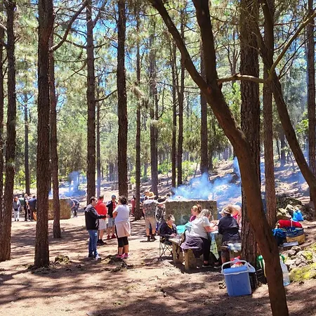 Mit Sonnenterrasse Und Panorama - Meerblick, 5 Min. Von Hafen + * Acantilado de los Gigantes